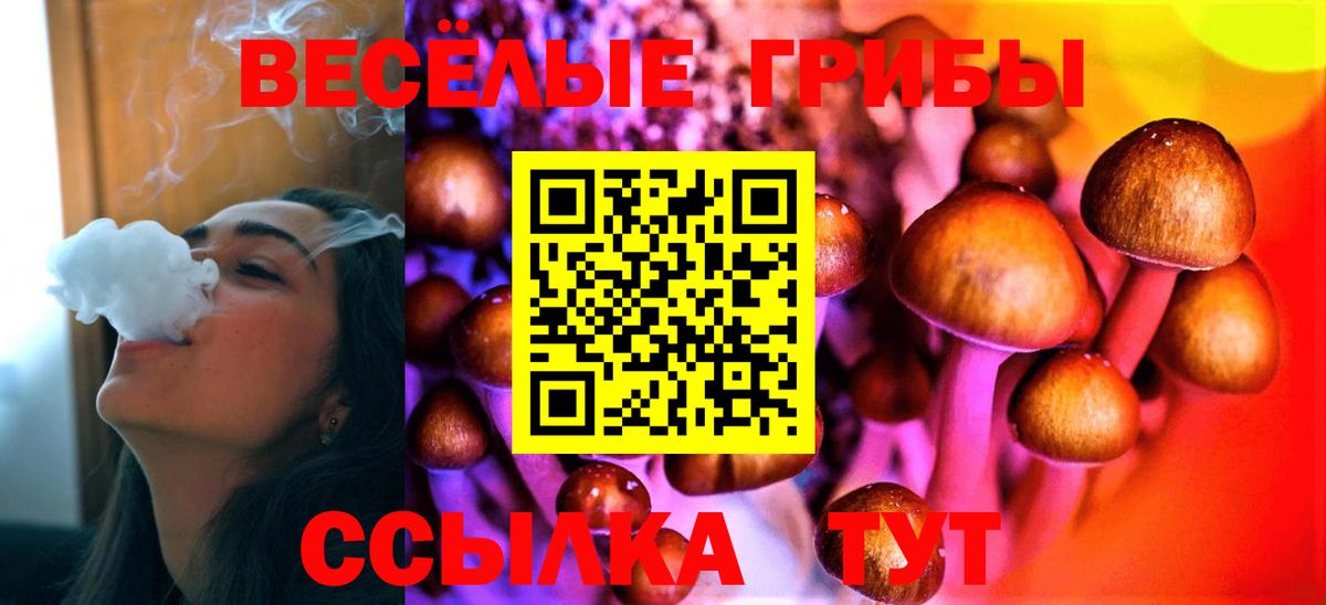 Псилоцибиновые грибы мицелий  Вход с VPN  Мытищи 