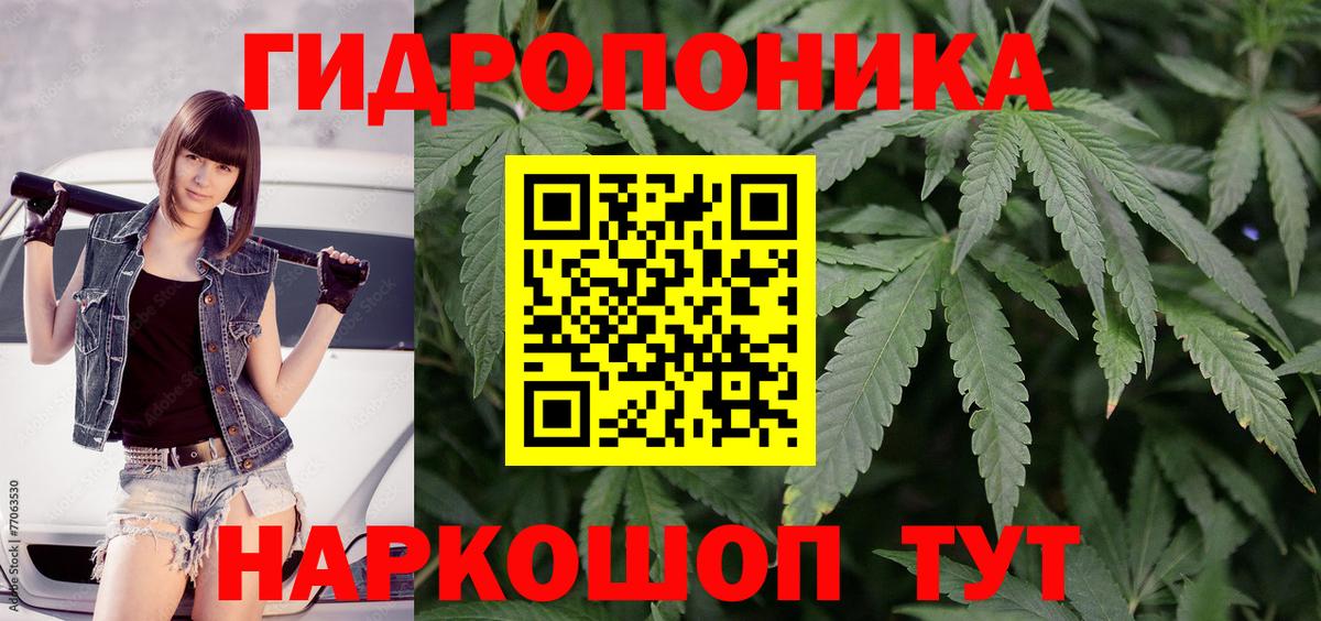 Шишки марихуана план Мытищи
